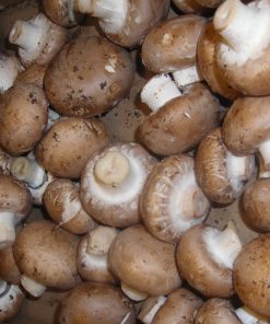 Agaricus bisporus var. avellaneus (žampion hnědý)